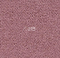 Ковролин Forbo Flotex wonderlab 07 900266 Rose фото 1 | FLOORDEALER
