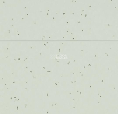 Forbo Sphera Energetic 50233 swedish grey фото 2 | FLOORDEALER