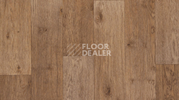 Линолеум Tarkett Activa R Dublin 2 фото 1 | FLOORDEALER