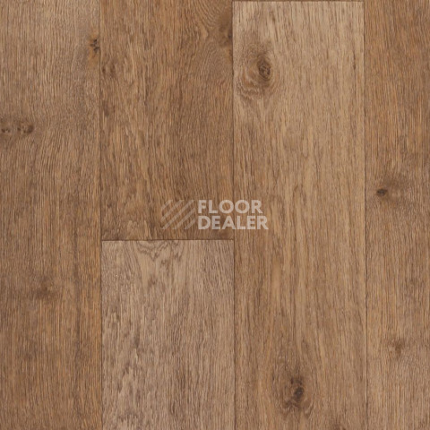 Линолеум Tarkett Activa R Dublin 2 фото 1 | FLOORDEALER