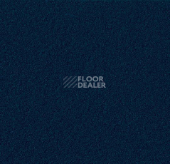 Линолеум Forbo Marmoleum Bulletin Board 2214 blue berry фото 1 | FLOORDEALER