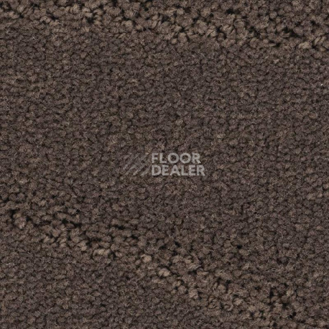 Ковролин Balsan Prado 760 фото 1 | FLOORDEALER