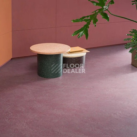 Forbo Marmoleum Marbled Real 3272 Plum фото 2 | FLOORDEALER