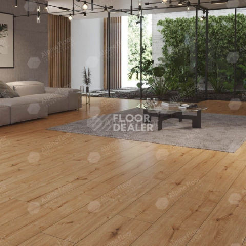 Classen Arteo 8 M 62754 Дуб Катам фото 2 | FLOORDEALER