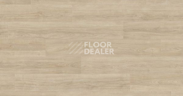 Ламинат Haro Tritty 100 Gran Via 4V ДУБ ЭЛЕГАНЗА КРЕМОВО-БЕЛЫЙ 541518 фото 1 | FLOORDEALER