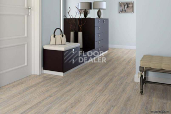 Wood CORK OAK LEACHED фото 3 | FLOORDEALER