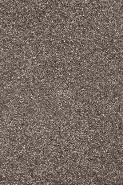 Ковролин AW Invictus Romelus 40 фото 1 | FLOORDEALER