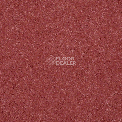 Ковролин Shaw Design Texture Platinum 820 фото 1 | FLOORDEALER