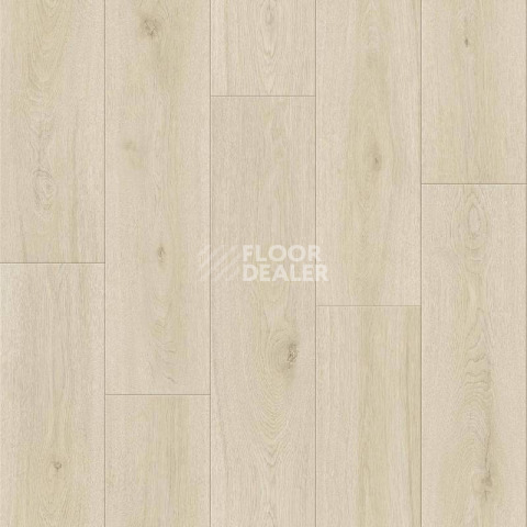 Линолеум Tarkett Force Maison 1 фото 1 | FLOORDEALER