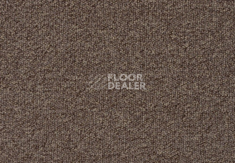 Ковролин Lano granit 410 фото 1 | FLOORDEALER