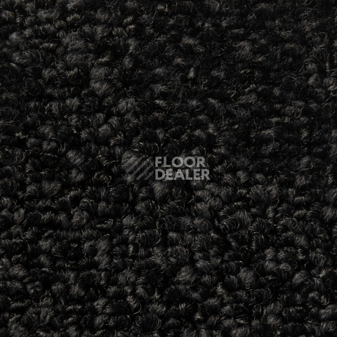 Balsan Take a Walk Rolls 990 фото 2 | FLOORDEALER