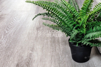 Alpine Floor Classic Ясень Серый ECO 134-5 фото 3 | FLOORDEALER