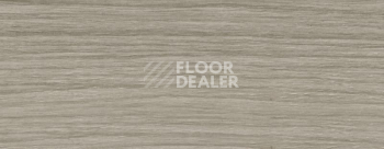 Плинтус Dollken EP 60/13 2726 фото 2 | FLOORDEALER