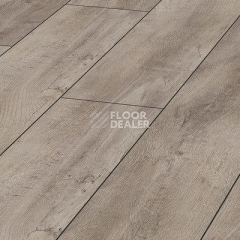 Ламинат Kronotex Exquisit 8мм d4985 Дуб Восточный Серый фото 1 | FLOORDEALER