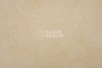 Forbo Emerald Standart 72411 фото 3 | FLOORDEALER