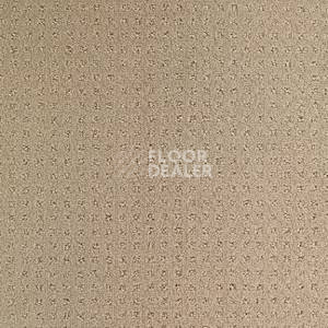 Ковролин Balsan Territoires Atrium 741 фото 1 | FLOORDEALER