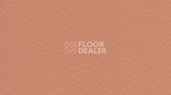 Линолеум Gerflor Taraflex Performance Uni 6146_Coral фото 1 | FLOORDEALER