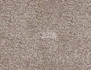 Ковролин SAG San-Marino 1035 фото 1 | FLOORDEALER