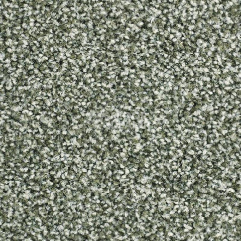 Ковролин Balsan Script 250 фото 1 | FLOORDEALER