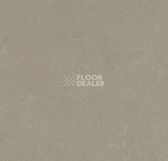 Линолеум Forbo Marmoleum Solid Concrete 3759 Mercury фото 1 | FLOORDEALER