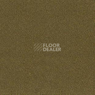 Ковролин Desso Asteranne 2022 фото 1 | FLOORDEALER