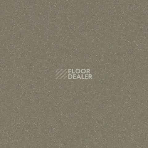 Линолеум Forbo SureStep Laguna 181362 umber фото 1 | FLOORDEALER