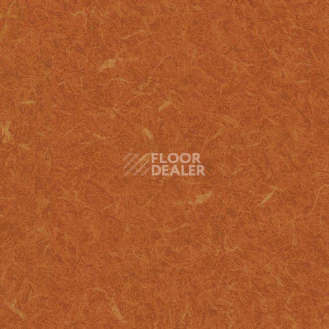 Линолеум Grabo Silver Knight Acoustic 7 455_885-3553 фото 1 | FLOORDEALER