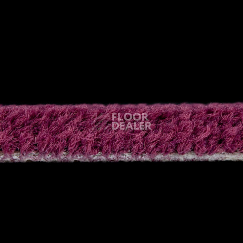 Balsan Les Best S 599 фото 3 | FLOORDEALER