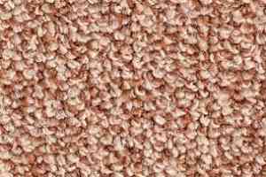 Ковролин Balsan Centaure Deco 748 фото  | FLOORDEALER