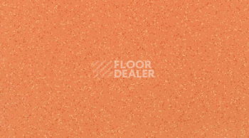 Кварцвиниловые полы Gerflor Attraction Connect 635 x 635 BRAZILIA_8157_Goias фото 1 | FLOORDEALER