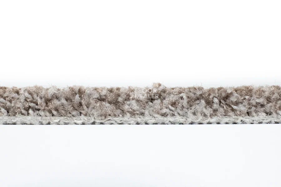Vorwerk Exclusive1009/Elara 8g81 фото 3 | FLOORDEALER