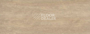 Плинтус Dollken EP 60/13 2664 фото 2 | FLOORDEALER
