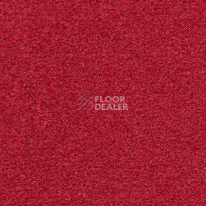 Ковролин Radici Montecarlo 1 фото 1 | FLOORDEALER
