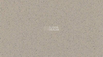 Линолеум Gerflor Tarasafe Standard 7386_Savana фото 1 | FLOORDEALER