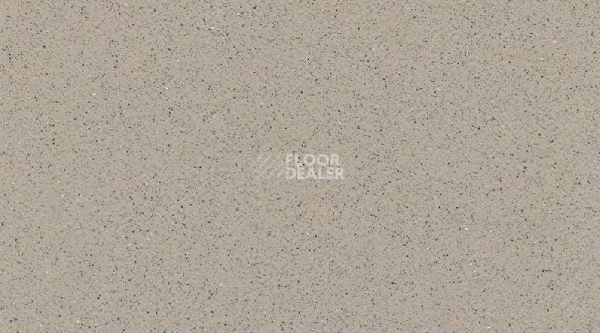 Линолеум Gerflor Tarasafe Standard 7386_Savana фото 1 | FLOORDEALER