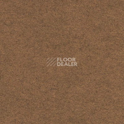 Ковролин Finett Feinwerk 403504 фото 1 | FLOORDEALER