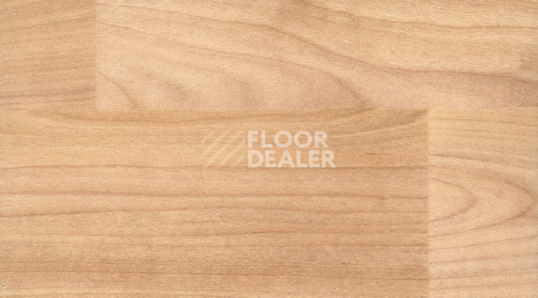Линолеум Gerflor Taraflex Surface Wood 6350_Light_Cherry_Design фото 1 | FLOORDEALER