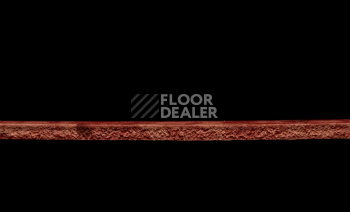 Tarkett Primo Plus 306 фото 3 | FLOORDEALER