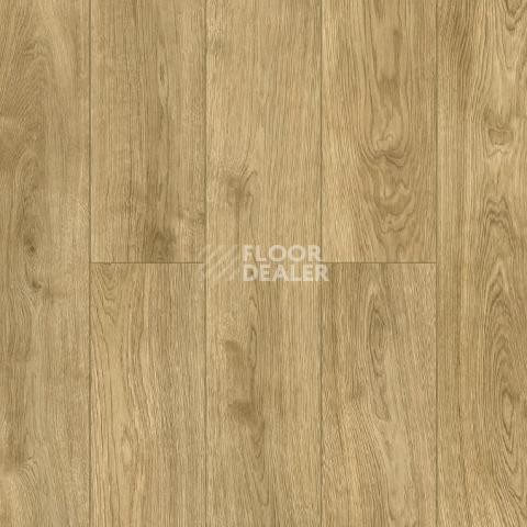 Ламинат Alpine Floor Aqua Life XL 8мм LF104-06 ДУБ МАДЖОРЕ фото 1 | FLOORDEALER