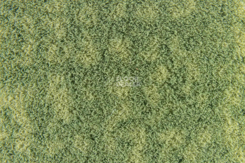 Forbo Flotex Colour Metro 5050 t 546019 Metro Citrus фото 3 | FLOORDEALER