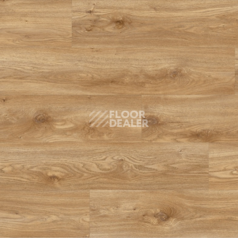 Moduleo Roots 0.55 EIR дерево SIERRA OAK 58346Q фото 2 | FLOORDEALER