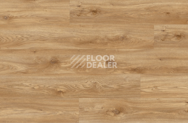 Кварцвиниловые полы Moduleo Roots 0.55 EIR дерево SIERRA OAK 58346Q фото 2 | FLOORDEALER