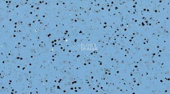 Кварцвиниловые полы Gerflor GTI El5 Ev Cleantech 650x650 0354_blue фото 1 | FLOORDEALER