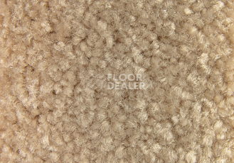 Balsan Bolero 640 фото 2 | FLOORDEALER