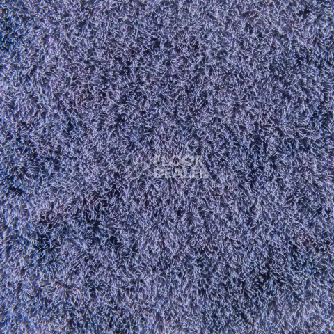 Forbo Flotex Colour Calgary 50*50 t 590022 Calgary Condor фото 3 | FLOORDEALER