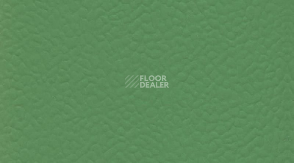 Линолеум Gerflor Recreation 60 Wood 6556_Verde фото 1 | FLOORDEALER
