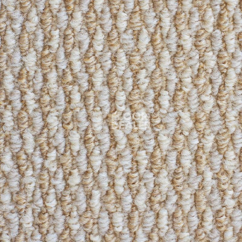 Ковролин Зартекс Рифей Рифей 505 Бело-бежевый фото 1 | FLOORDEALER
