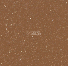 Линолеум Forbo SureStep Original 172152 grey terra фото 1 | FLOORDEALER