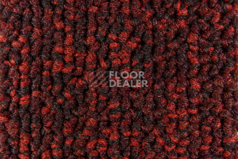 Balsan Season - Summer / Winter 590 фото 2 | FLOORDEALER