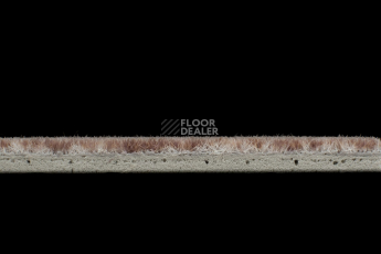 Forbo Flotex Colour Calgary 50*50 t 590023 Calgary Espresso фото 4 | FLOORDEALER